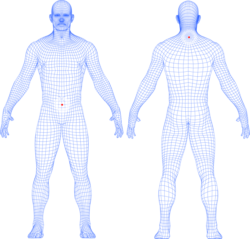 Diagram showing front and back views of a human figure with grid lines, indicating the recommended placement areas for the Lifewave X39 patch: on the lower abdomen in the front view and on the back of the neck in the rear view.